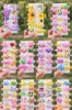 Picture of Cute Kids Hair Clips Set