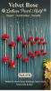 Picture of Pack of 10 Velvet Rose Strings only for 600